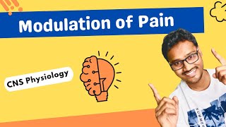 Modulation of pain  CNS physiology [upl. by Kirsteni]