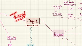 Chagas Disease Trypanosoma Cruzi  Bloodstream Infections  2nd Year MBBS  Microbiology [upl. by Nama]