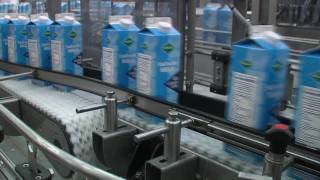 Easy conveyors in the food industry [upl. by Ranee399]