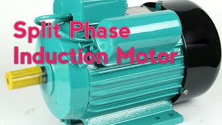 How the split phase induction motor works electricalengineering inductionmotor introduction telu [upl. by Okimat]