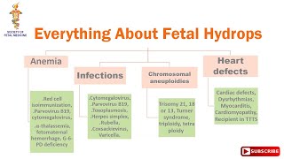 Everything About Fetal Hydrops [upl. by Rasec758]