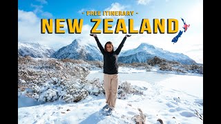 The best ROADTRIP itinerary in NEW ZEALAND  FREE Gift [upl. by Melisent]