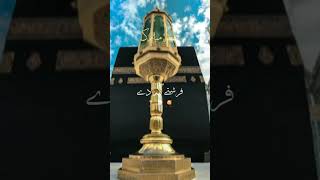 Chhod fikra🕋🤲 Duniya Ki chal Madine🕋 Chalte Hain💕 islamicvideo shortvideo forupage [upl. by Oibaf619]