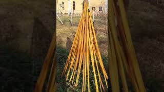 Osage Orange sioux bows from Flagella Dei workshop [upl. by Eanad]