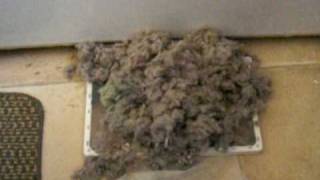 Kenmore Dryer Lint [upl. by Odnesor]