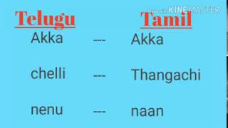 Learn Tamil through telugu part1  telugu latest [upl. by Lantz]