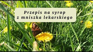 Jak zrobić syrop z kwiatów mniszka lekarskiego Przepis krok po kroku [upl. by Kloster]