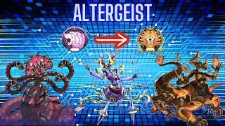 How this Altergeist deck got me to MASTER 5 in YuGiOh Master Duel  Season 32 [upl. by Skill]