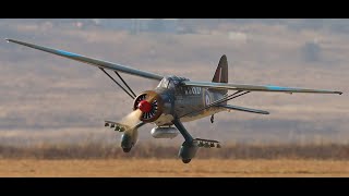 Heinies RC Warbirds at Barnstormers [upl. by Alehs]