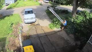 Man Carrying Tree Branch Trips on Ladder and Falls  1508598 [upl. by Legna]