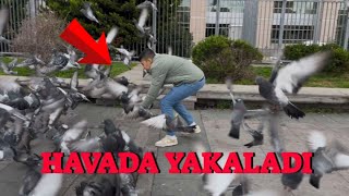 Yabani Güvercinler Arasında Kaçak Avı  Emir Havada Yakaladı  😮 [upl. by Eimiaj]