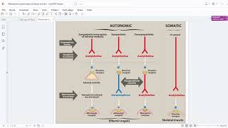 1 Autonomics nervous system MCQ questions مراجعة اسئلة [upl. by Albers765]