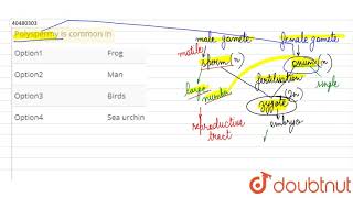 Polyspermy is common in [upl. by Alonso]