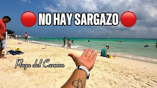 NO HAY SARGAZO  Playa del Carmen Marzo 132024  Playa Pelícanos 🌴☀️⛱️🌊🫶 [upl. by Ahsatsan]