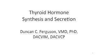 Thyroid Physiology Synthesis and Secretion [upl. by Appilihp]