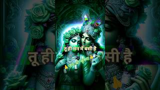 Radhe Krishna Krishna Hare Hare  Jay Shri Krishna 💫✨😌shorts song short love [upl. by Tehc]