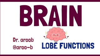 BRAIN LOBE FUNCTIONS [upl. by Oknuj]