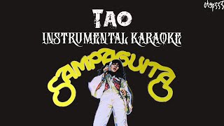 Sampaguita  Tao Karaoke  HQ Instrumental [upl. by Doe]