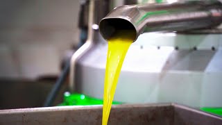 How Its Made Olive Oil [upl. by Leuqram]