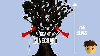 TUTO WORLD EDIT FAIRE UN ARBRE GEANT DANS MINECRAFT  256 BLOCS [upl. by Echikson]