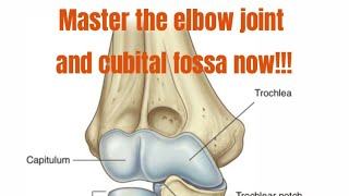 Master the Elbow joint and Cubital fossa Never forget it [upl. by Eannyl655]