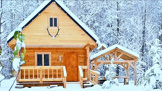 ONE Year a Man Builds the Log Cabin of his Dreams Alone in the Forest Start to Finish [upl. by Lamphere839]