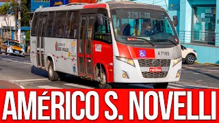 Rua Américo Salvador Novelli  Movimentação de Ônibus 798 [upl. by Ardnaskela]