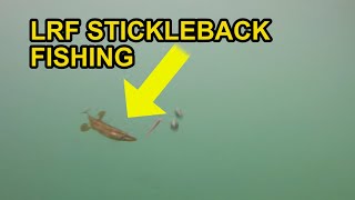 15 Spined Stickleback Attacks Micro Lure LRF [upl. by Dahij]