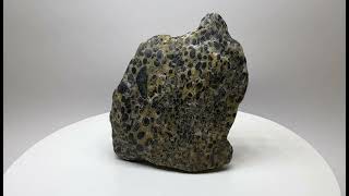 Oncolite 2 Specimen age approximately 800 million years Neoproterozoic 1 [upl. by Publias]