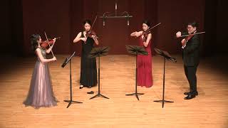 G P Telemann  Concerto for 4 Violins No2 in D Major [upl. by Etnovad]