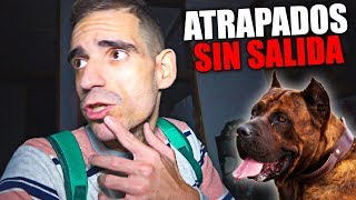 ATRAPADOS SIN SALIDA EN UN PUEBLO ABANDONADO POR 4 PERROS GIGANTES [upl. by Nayve]