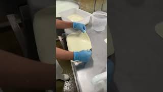 bocconcini leaf anyone 🤤 cheesemaking bocconcini [upl. by Meer597]