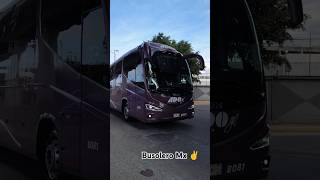 Camionera del Golfo ADO GL 🟣 irizar irizari8 viaje ado adogl shorts travel [upl. by Chaudoin]