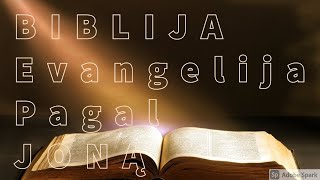 EVANGELIJA PAGAL JONĄ BIBLIJA [upl. by Groot]