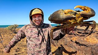 GIANT CRAB  Catch and Cook  2 Days Fishing Hunting amp Foraging For Food [upl. by Geirk938]