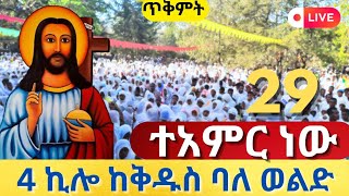 🔴live🔴ቀጥታሥርጭቱከአራትኪሎቅዱስባለ ወልወልድ mataniy23Ethiopiaorthodoxtewahedo [upl. by Ahsikcin]