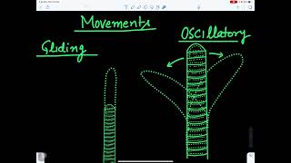 Oscillatoriacyanobacteria [upl. by Idelson558]