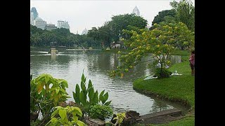 Mauihowey’s ThailandBangkok’s famous Lumpini park walking live stream🇹🇭 [upl. by Izy]