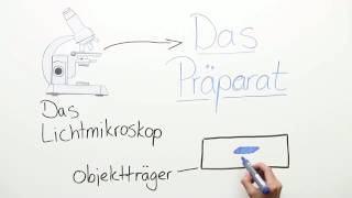 DAS PRÄPARAT  HERSTELLUNG VON PRÄPARATEN FÜR DAS MIKROSKOP  Biologie  Biologie der Zellen [upl. by Lajes977]