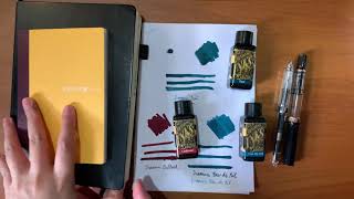 🥰Let’s INKsplore 🥰 Diamine Teal Oxblood Eau de Nil  No talking [upl. by Acirrej107]