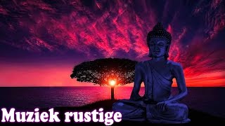 Rustige Ontspannende Muziek ♫ Positieve Muziek te inspireren positief denken Muziek [upl. by Roper]