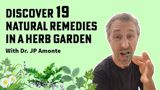 Discover 19 Natural Remedies in a Herb Garden [upl. by Charita523]