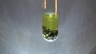 LeadII Chloride Synthesis PbCl2 [upl. by Mcgraw]