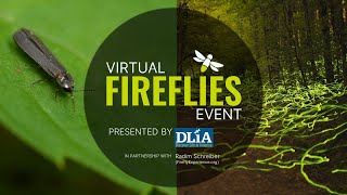 Second annual Virtual Fireflies Event presented by Discover Life in America [upl. by Adnola]