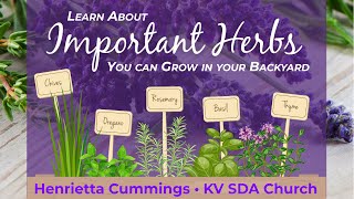 20220926 KV SDA Important Herbs [upl. by Mccahill]