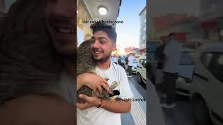 Sokak kedisinin aşkı 😻 cats cat catlovers kedi catlover 🎥merkitt0 [upl. by Malena318]