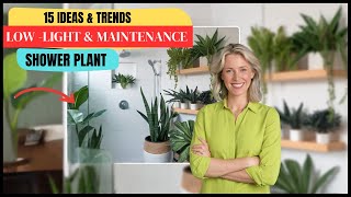 15 Bathroom Plants for Low Light amp Maintenance That Purifying Air  Houseplants For The Bathroom [upl. by Latton382]