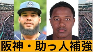 【ダイヤの原石】阪神タイガースが育成助っ人外国人を２人獲得してきた件！ [upl. by Suez82]