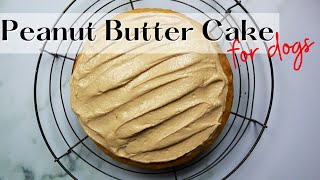 Easy Peanut Butter Dog Cake Recipe 🥜🍰🐶  WHISKOPETS KITCHEN 😄  HOMEMADE DOG FOOD amp TREATS [upl. by Elinad]