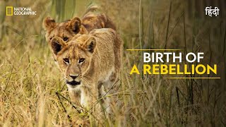 Birth of a Rebellion  Savage Kingdom  Full Episode  S4E2  Nat Geo Wild [upl. by Atlante]